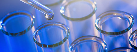 Water testing before recommending a filter system